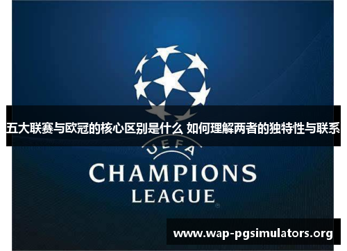 五大联赛与欧冠的核心区别是什么 如何理解两者的独特性与联系