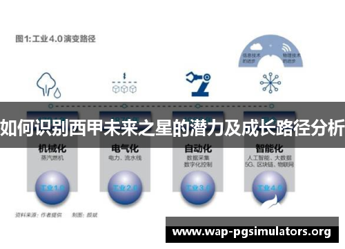 如何识别西甲未来之星的潜力及成长路径分析
