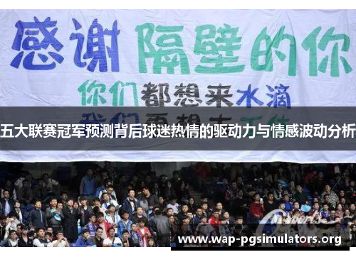 五大联赛冠军预测背后球迷热情的驱动力与情感波动分析