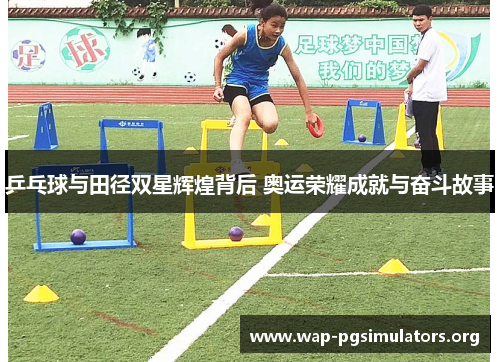 乒乓球与田径双星辉煌背后 奥运荣耀成就与奋斗故事