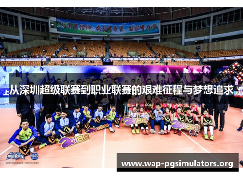从深圳超级联赛到职业联赛的艰难征程与梦想追求