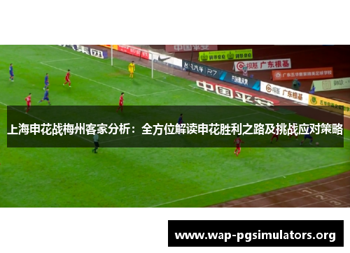 上海申花战梅州客家分析：全方位解读申花胜利之路及挑战应对策略