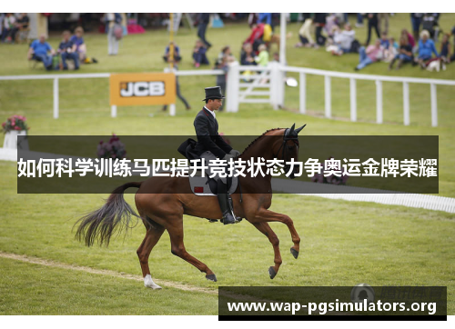 如何科学训练马匹提升竞技状态力争奥运金牌荣耀