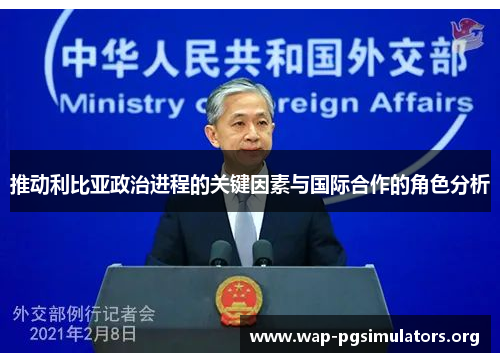 推动利比亚政治进程的关键因素与国际合作的角色分析