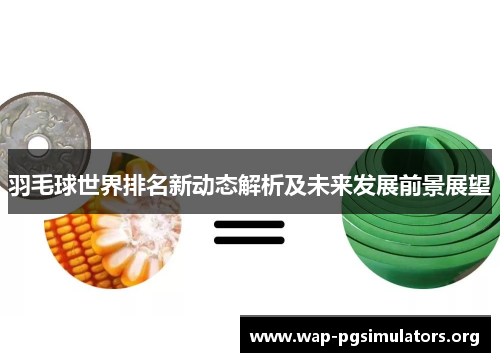羽毛球世界排名新动态解析及未来发展前景展望