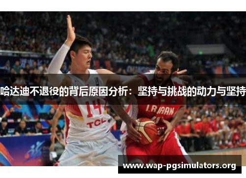 哈达迪不退役的背后原因分析:坚持与挑战的动力与坚持 哈达迪不退役的背后原因分析:坚持与挑战的动力与坚持