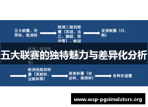 五大联赛的独特魅力与差异化分析