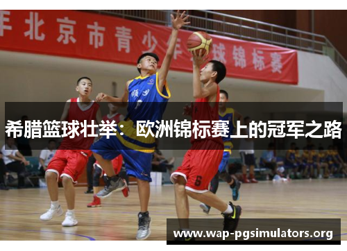 希腊篮球壮举：欧洲锦标赛上的冠军之路